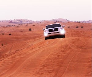 Photo of the Day Photo of the Day