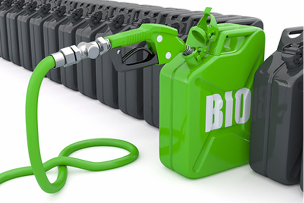 Fueling Up With Alternative Biofuel