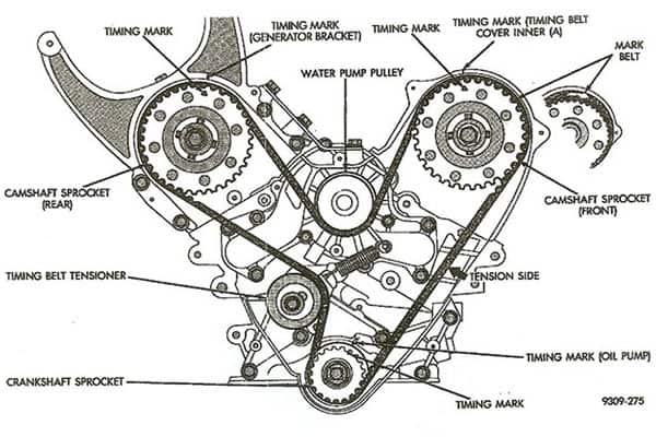 Timing Belts