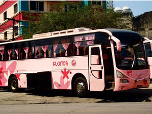 HINO RM Bus