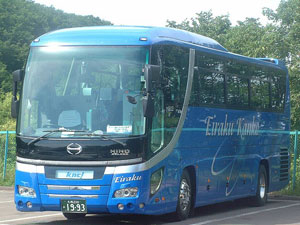 HINO Selega Bus