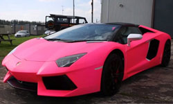 Lamborghini pink