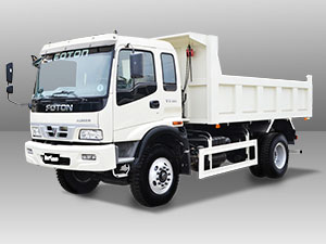 foton Hurricane Dump Truck car model