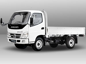 foton TS 2 Dropside truck model