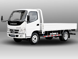 foton TS 2.5 Dropside truck model