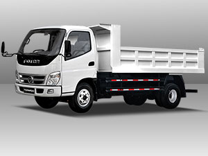 foton TS 2.5 Dump Truck model