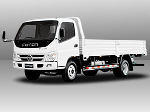 foton TS 3.5 Dropside car model