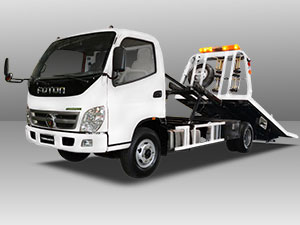 foton TS 3.5 Self Loader truck model