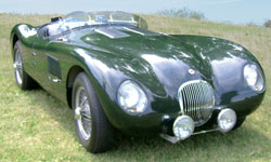 jaguar