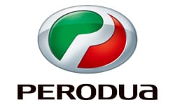 Perodua official Logo of the Company