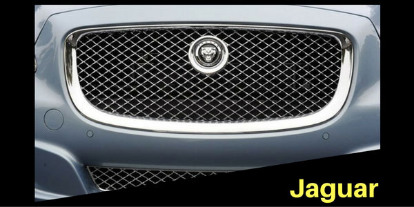 Jaguar Grille