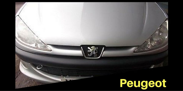 Peugeut Grille