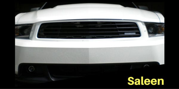 Saleen Grille