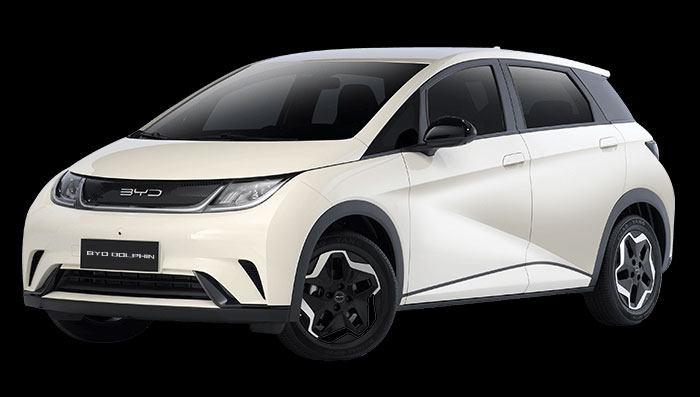 BYD Dolphin Car Model